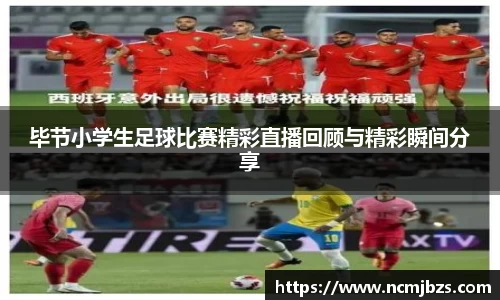 米乐yy易游体育