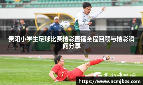 易游体育